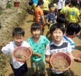 농식품부 인증 ‘1등급’ 농촌체험마을은 어디
