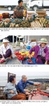 사진가 정영신의 장터순례(37)제주 세화장