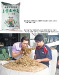 [특집-국내산 조사료]청보리 20㎏ 소포장 판매·‘믹스’ 가공품 생산…