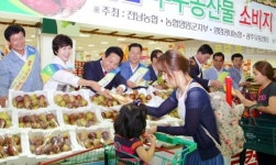 “고품질 영암 농산물 안심하고 드세요”