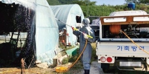 3종 가축전염병 이동제한 완화될 듯