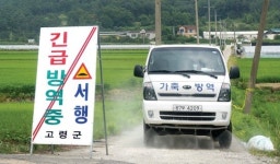 구제역·AI 발생지역 가축 이동제한 해제…방심은 금물