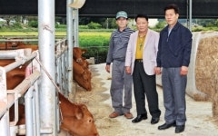 미경산한우 위탁사업 성과