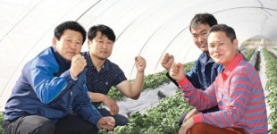 광활농협, 우량 씨감자 보급 호평