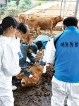 가축질병진료 취약지 이동동물병원 운영
