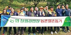 창원공판장, 단감수확 돕고 상품성 향상 농가교육 실시