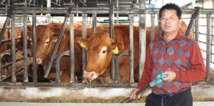 [기획]FTA 시대…축산 비결 대공개⑶한우농가 오후택씨<충북 충주>