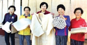 전남 보성군 보성읍 ‘전통삼베마을’ 바쁜 나날