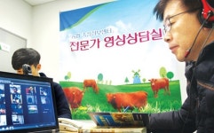 [현장]농협, 인터넷으로 축산농가에 전문가 영상상담