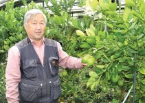 [이사람]열대과일 저가온으로 재배하는 안승환씨 <충남 공주>