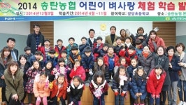 송탄농협, 초등학생들 대상…벼 사랑 체험학습 실시 호평