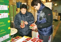 내년 봄 토마토·딸기 과잉생산 ‘걱정’