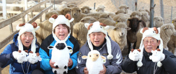 새아침 희망을 여는 현장⑴양 목장 체험마을 강원 평창군 ‘의야지바람마을’