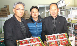 서부여농협, 판매농협 구현 ‘앞장’