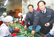 마늘 가공·판매로 농가소득 안정