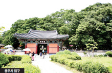 전원해의 풍수와 명당(23)경기 화성 용주사