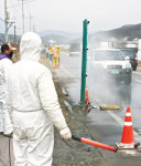 [현장]이동제한에 묶인 충남 천안·경기 용인지역 양돈농가들 발동동