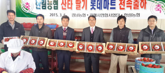 ‘싼타’ 딸기 롯데마트 전속 출하