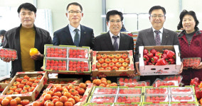 ‘화순딸기’ 전남 첫 일본 수출