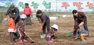 대구농협, 주말농장 12곳 운영…화원농협 첫 개장