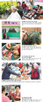 살랑살랑 봄바람 불것다…내 맴도 싱숭생숭 설레것다