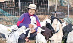 [기획]FTA 시대…축산 비결 대공개⑼산양 키워 산양유 생산 최수원씨 <충남 논산>