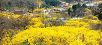 지역 특성 살린 자원화·마을 주민들 자율 동참…