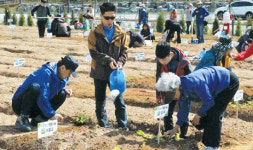 정부세종청사 주말농장 개장
