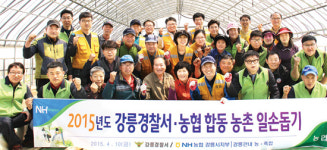 강릉경찰서·농협, 농촌 일손돕기 ‘맞손’