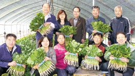 동두천농협, 아삭이열무 ‘일품’