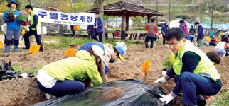 “텃밭 가꾸며 수확의 기쁨 맛봐요”