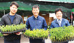 용문농협, 모종판매사업 ‘호평’