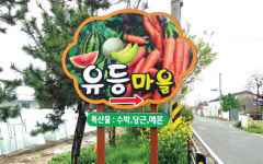 마을 알리고 농특산물 홍보도