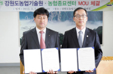 강원도 개발 옥수수 종자 해외수출 손잡아