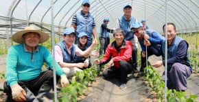신동아건설, 영월 자매마을서 9년째 일손돕기