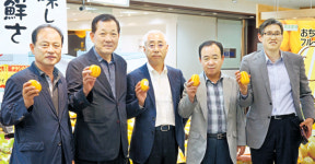 ‘성주참외’ 국내·해외시장서 인기몰이 비결은