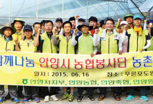 포도 봉지씌우기 도와