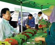 초월농협, 축제취소로 어려움 겪는 토마토 농가위해 판매행사
