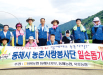 농협 동해시농촌사랑봉사단, 논 피뽑기·환경정화 등 도와