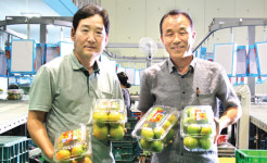 “맛좋은 춘천 토마토 많이 드세요”