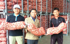 부곡농협 ‘농산물 팔아주기’ 호평