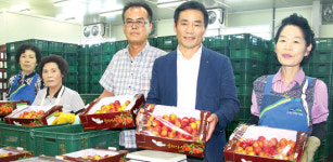 군위농협, 채소·과일 판매 ‘순항’