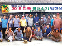 제주감귤농협 조천지점…감귤 열매솎기 발대식 열어