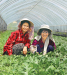 제32회 영농·생활수기 우수작 <다문화여성 부문>