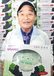 [이사람]혼자 힘으로 검역 까다로운 호주에 포도 첫 수출한 연종흠씨 