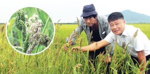 [기획]경종농가의 필수품 가축분뇨 ‘액비’⑶전북 부안 김만호씨