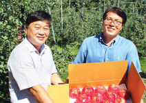 파주사과, 고품질로 승부한다