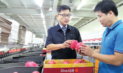 중원농협 ‘충주사과’ 판매 구슬땀