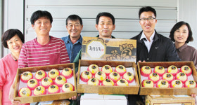 “껍질째 먹어도 안전한 작은 배 맛좋아요”