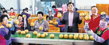 “나주배 달고 맛도 좋아요”